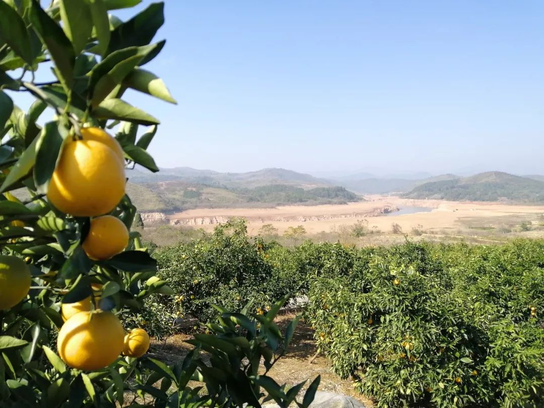 对不起我要回桂阳了