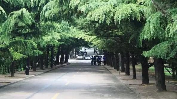 我们又应该如何降低噪音?
