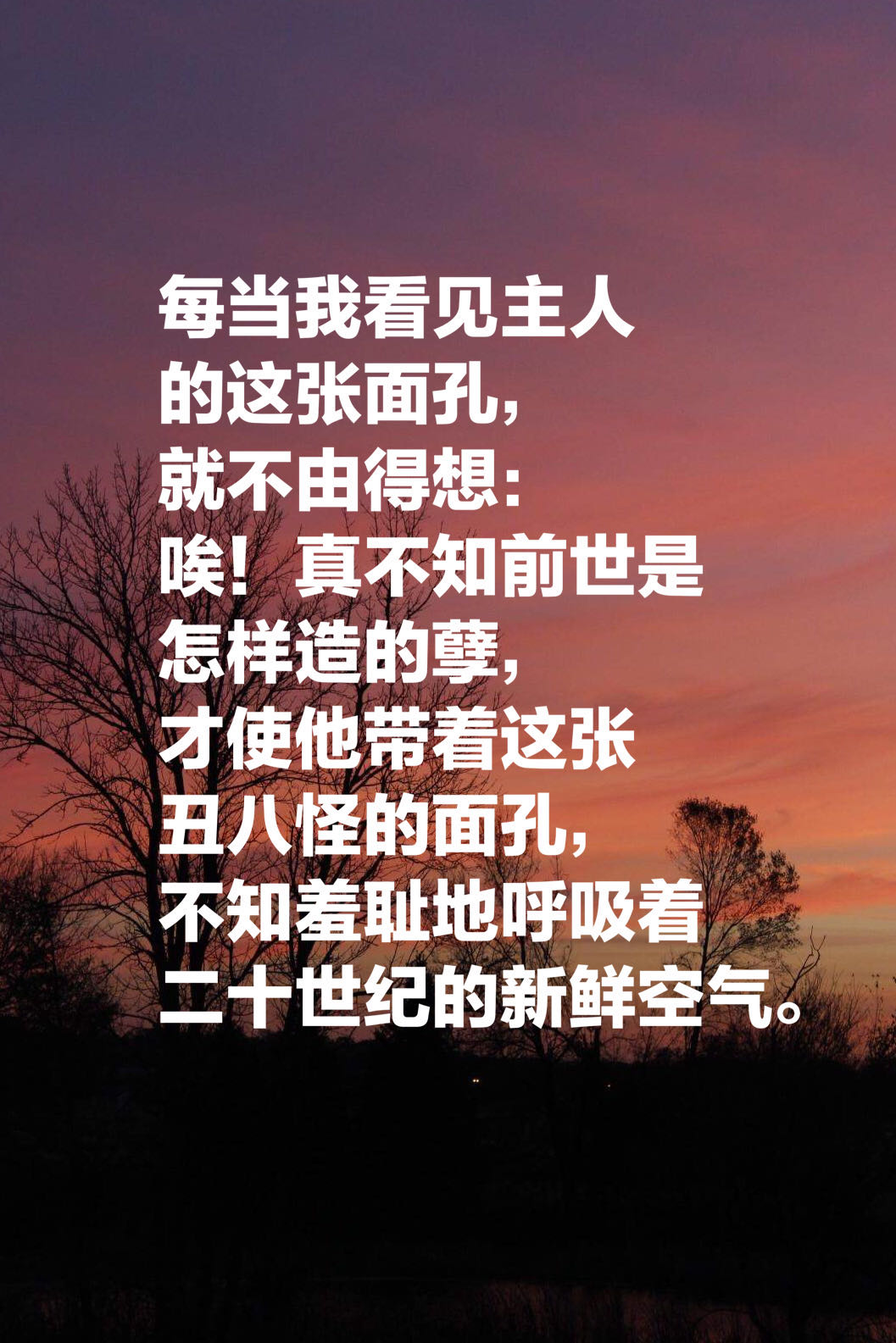 夏目漱石的我是猫最经典的十段话鲁迅评价当世无匹