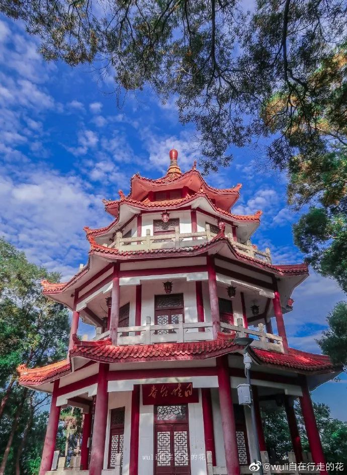 福州这处爆赞的溜娃胜地,拍照野餐两不误,却少有人知!