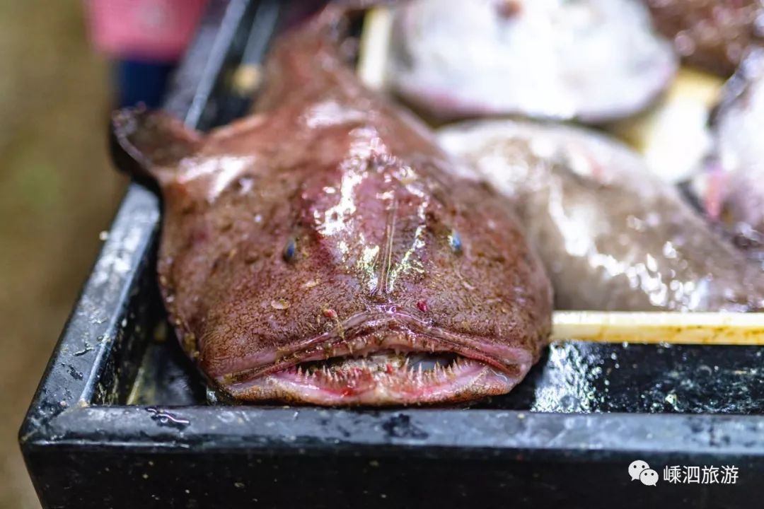 长牙齿就算了还长这么丑这个鱼是海霸王吗