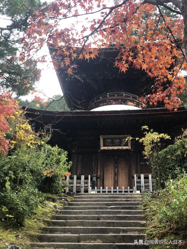 京都长寂光寺赏红叶看多宝塔如果能登上坡就能看多姿多彩的红叶