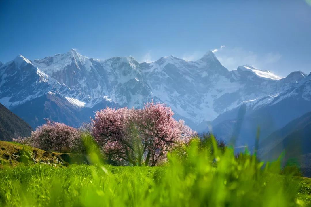 2020年放假时间官宣!放心,整年旅行我已替你安排妥!