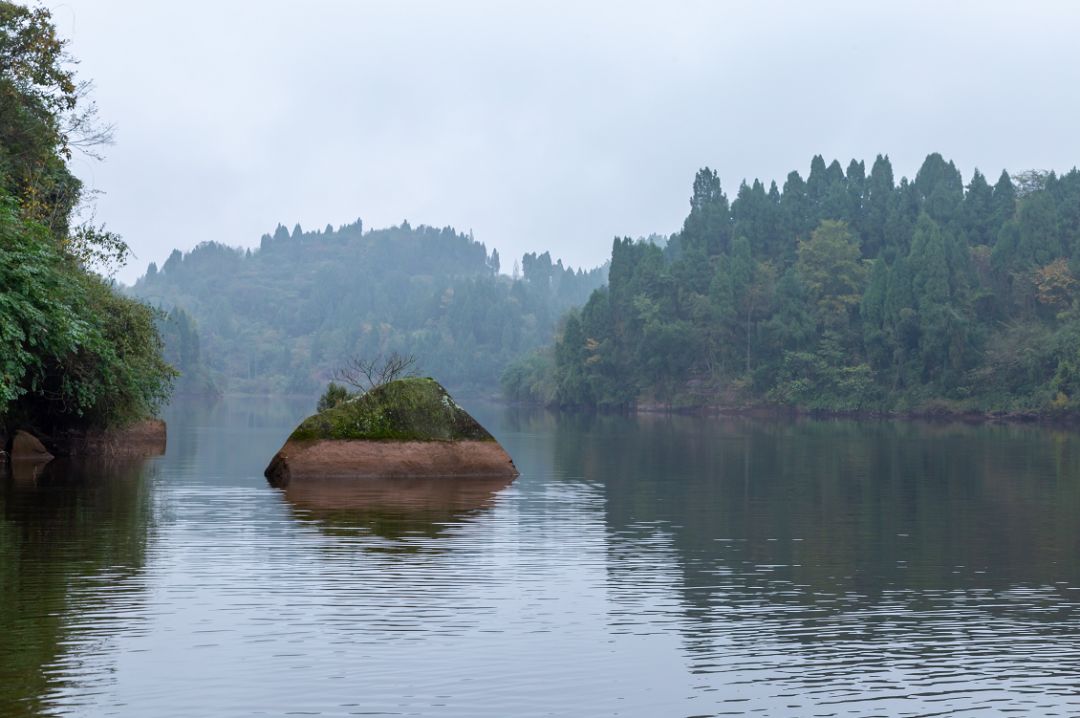 大力湖是岳池农家生态文化旅游区的主要景点之一,大力湖旁边的桃花岛
