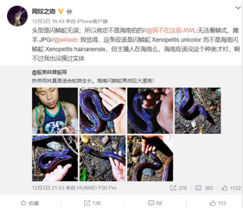 斗鱼蛇哥微博发布海南闪鳞蛇微博却遭知名科普博主怒怼造谣