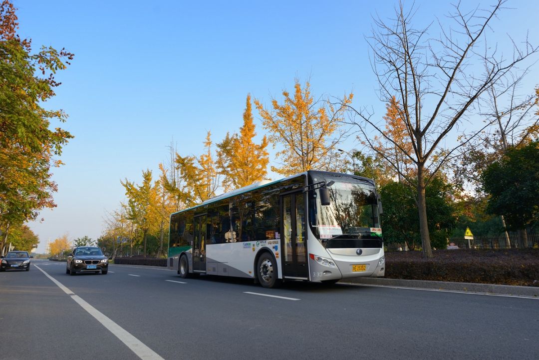送50元公交卡寻找湖州最美