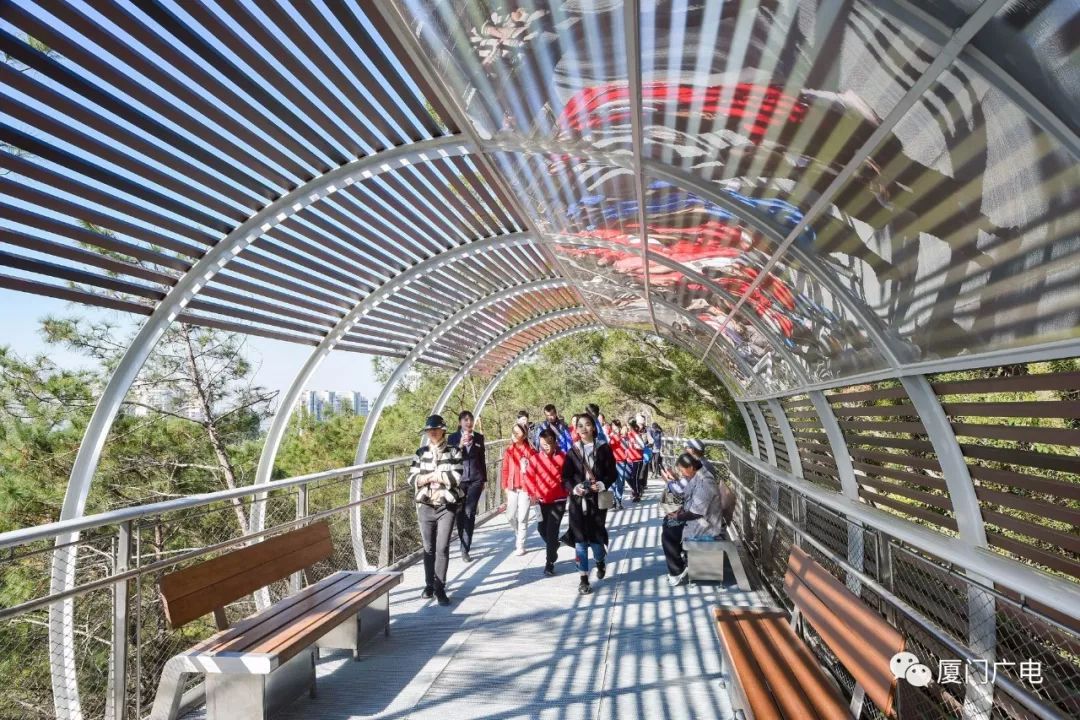 预计2020年元旦开放体验啦 厦门健康步道即将开放啦 漫步空中,穿梭