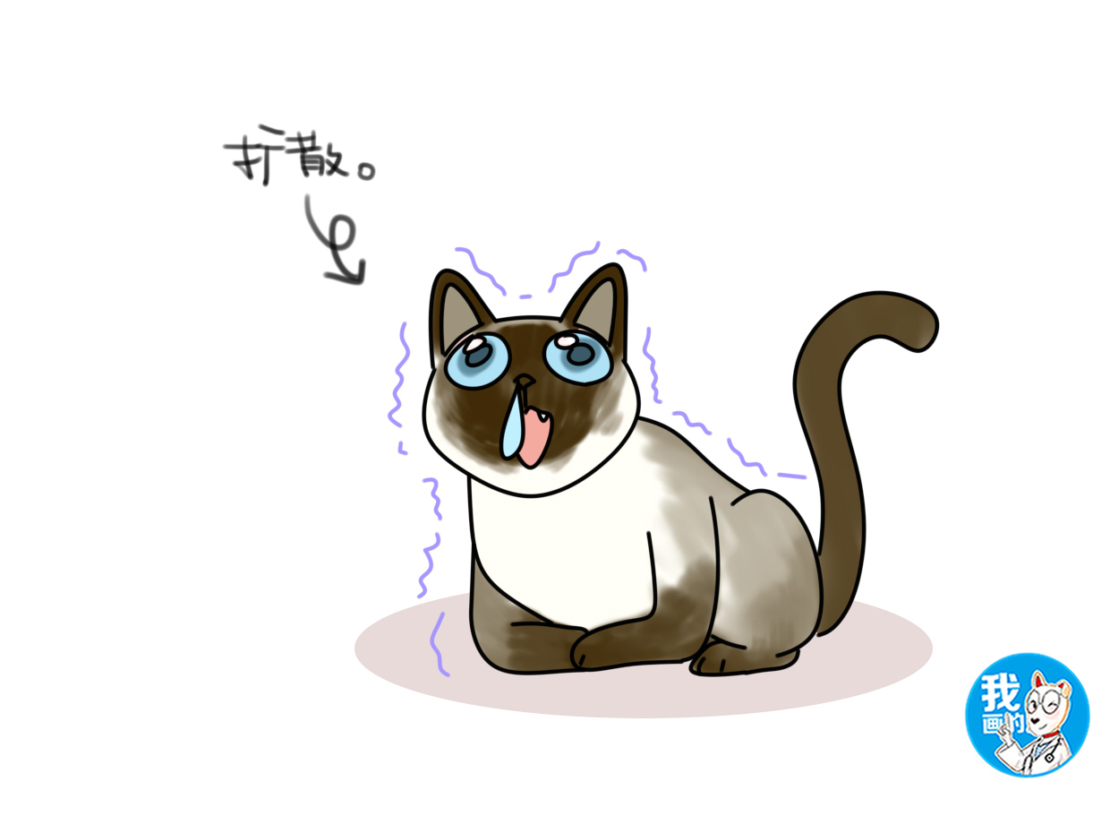 原创暹罗猫变色是去挖煤了没有的事儿温度和年龄才是罪魁祸首