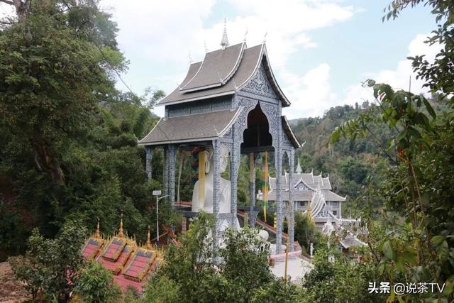 探访云南网红茶山,终于明白了古树茶的神奇…… | 海丝茶旅_老曼