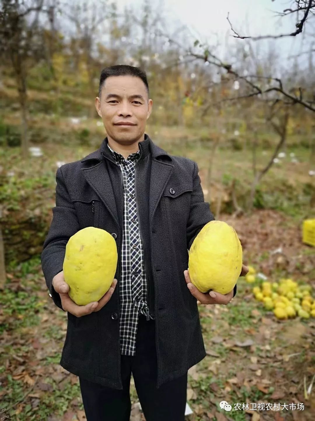 明日剧透白河供销文化赋能闻香木瓜更吃香