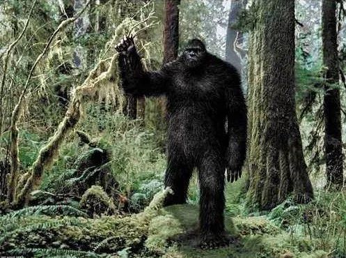 传说大脚怪是真的?俄勒冈州发现大型生物出没,专家或已找到线索