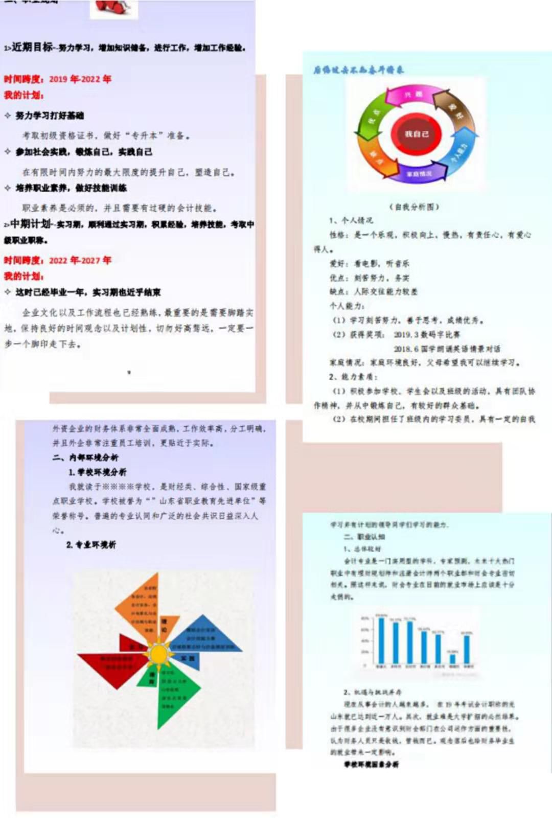 大学生职业生涯八卦图图片