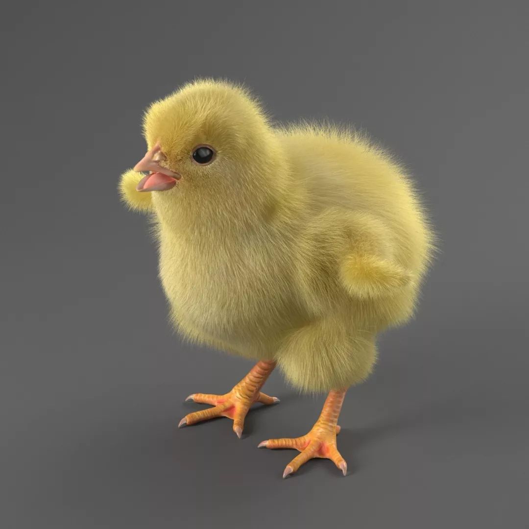 超逼真超好看的3d动物模型