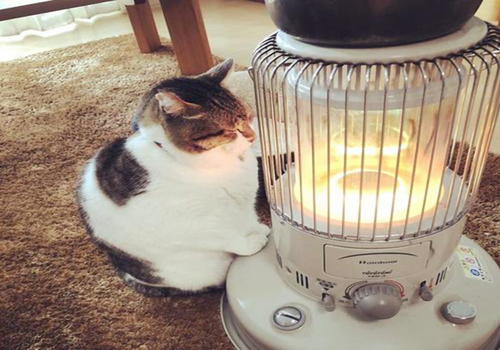 入冬后天气再冷也别用这些取暖尤其是家有宝宝的要会防范未然