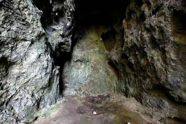 桐梓岩灰洞遗址大洞遗址于1990年被发现.