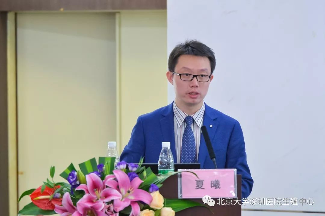 夏曦，夏煕瑶小说