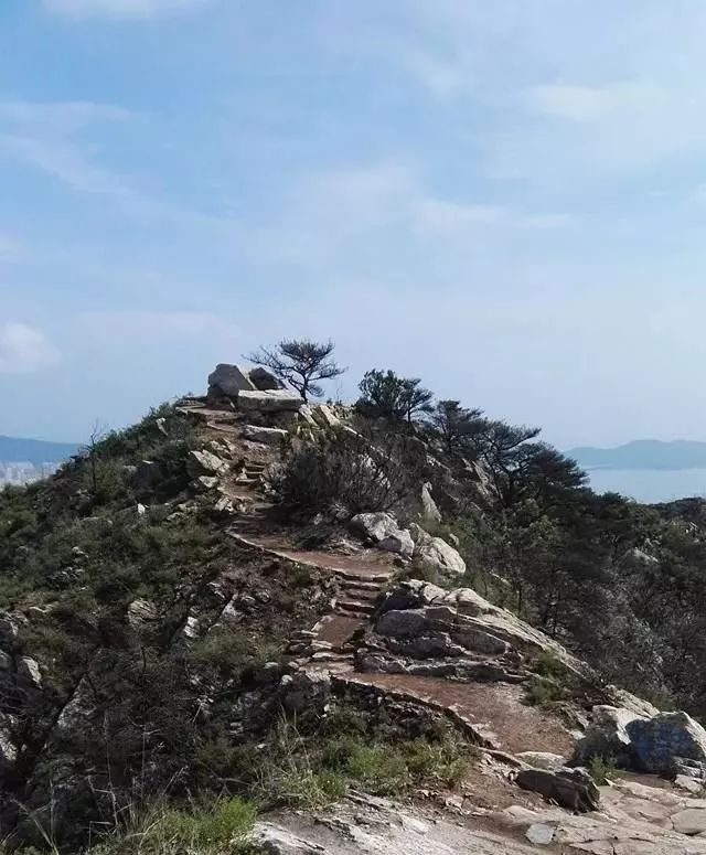 裡口山登山健身步道成長記