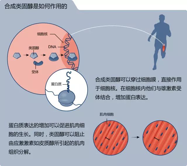 興奮劑正式入刑看完運動員禁用食品清單我整個人是崩潰的