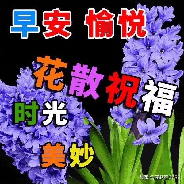 12月9號早上好最新最漂亮早安問候語