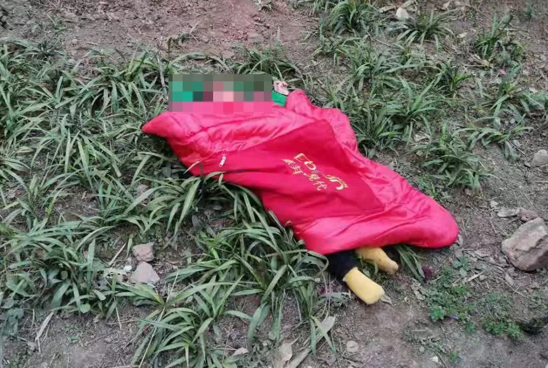 宜宾一小车和货车相撞,车头全毁.