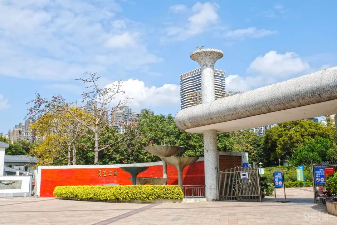 灵芝公园