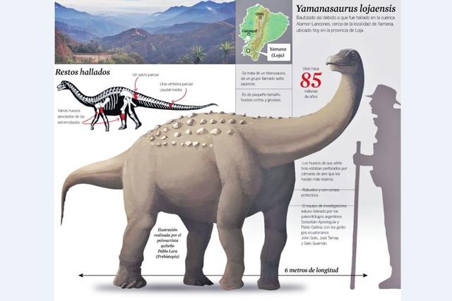 在厄瓜多尔境内古生物学家发现了一种新的泰坦龙