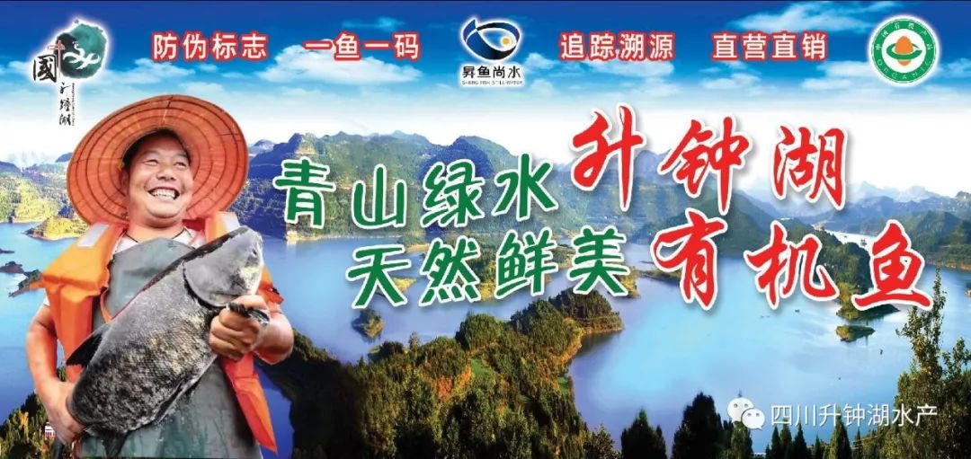 严格按照有机农业原则,有机水产品标准及生产方式进行生产,推进升钟湖