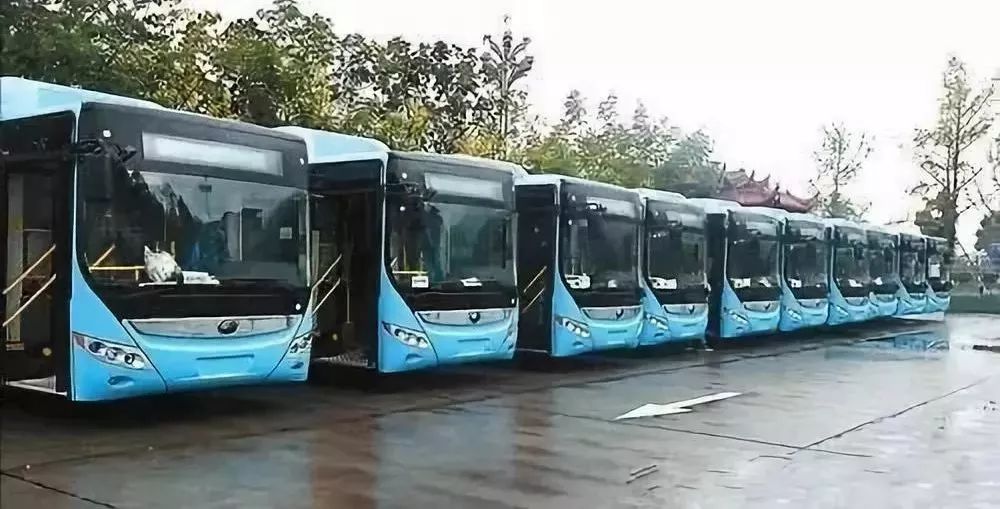 阆中坐公交车为什么不能使用微信支付宝真相来了