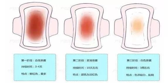 恶露主要指的是产后从阴道排出的子宫创面出血,妊娠子宫内膜,黏液等