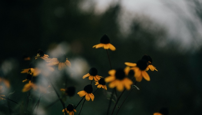 家电市场真的很差?是很多劣质厂商们根本活不下去了-家电圈官网