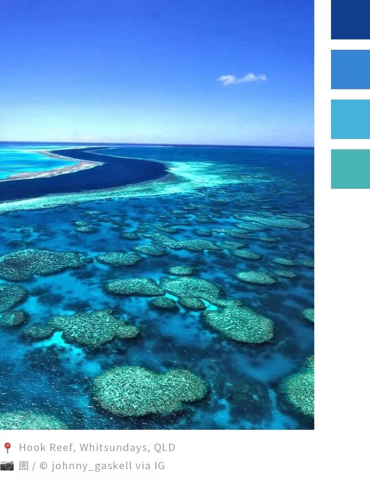 一次性挑战 10 个色号,这道题有点蓝