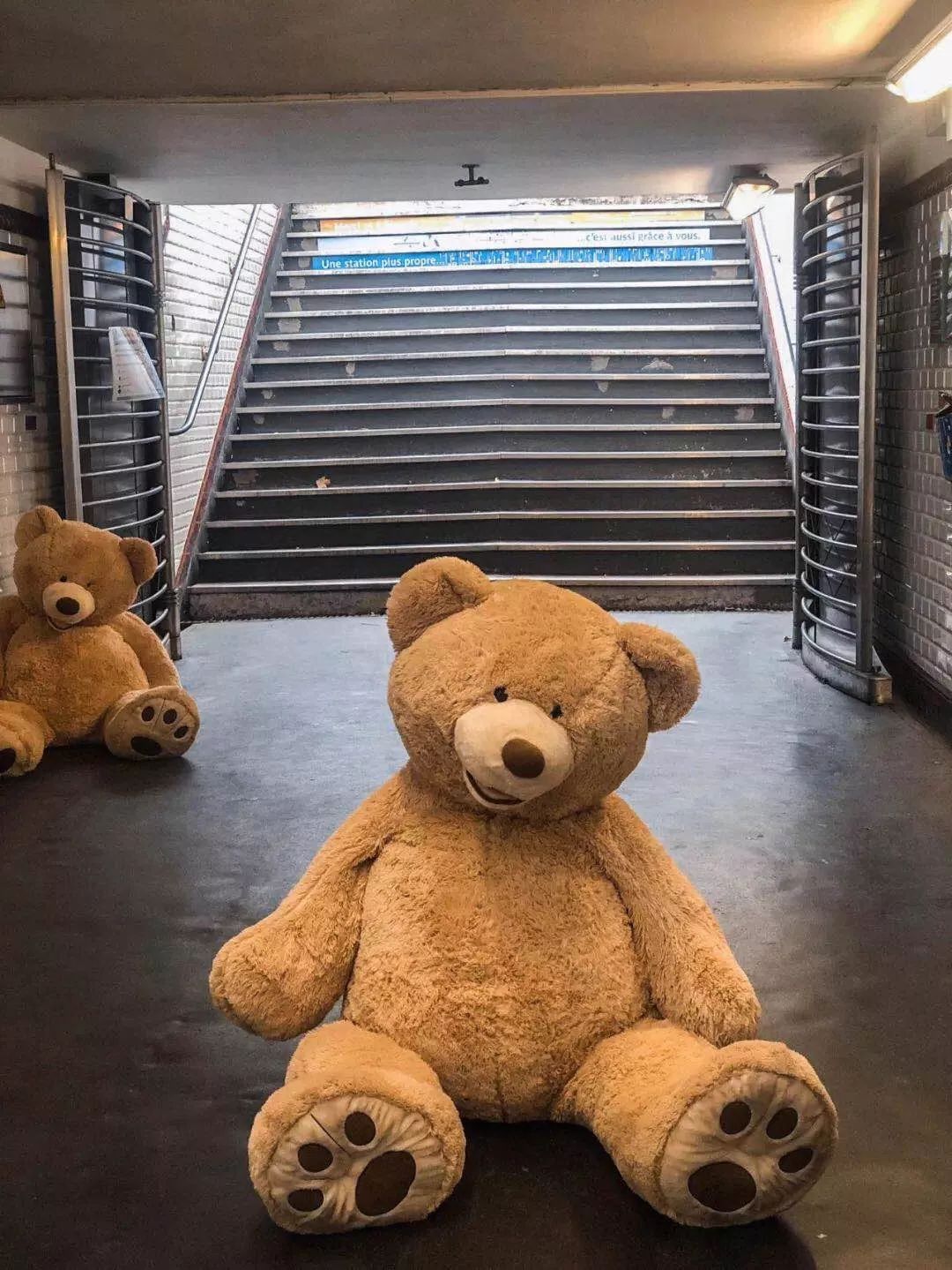 法国大罢工期间出没巴黎的泰迪熊,到底什么来历?