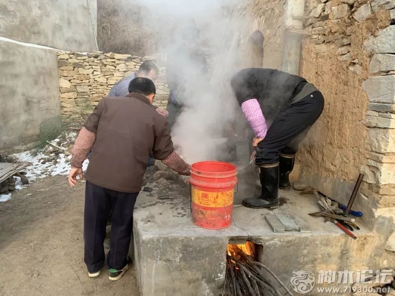 神木正宗農村殺豬菜全過程活了二十多年的我第一次見饞死了