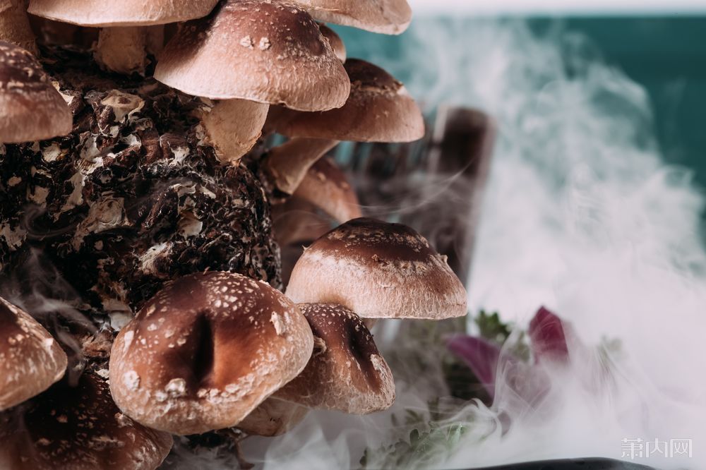 米捞伴侣是糙米和紫菜,根据自己的需求倒入碗中,舀一勺米浆倒入后就