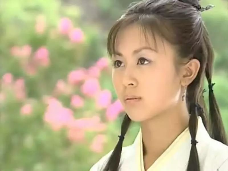 直到2004年在古装武侠剧《大唐双龙传》里出演师妃暄而为内地观众所