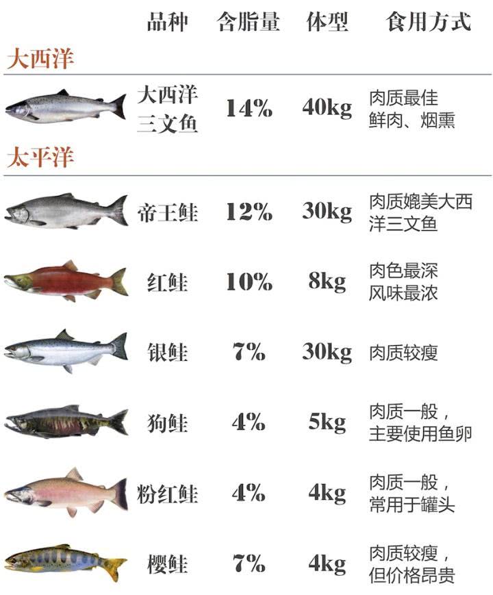 三文鱼养殖条件图片