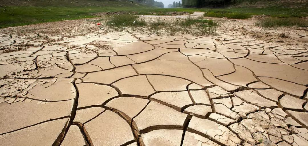 水对人们的重要性不言而喻,一旦一个地方缺水发生旱灾,不仅当地农作物