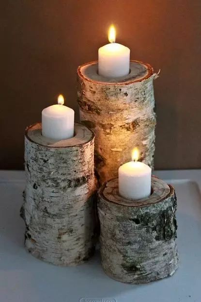 2 树桩做烛台古语曰,朽木不可雕也,但朽木掏空之后,用来养多肉也是很