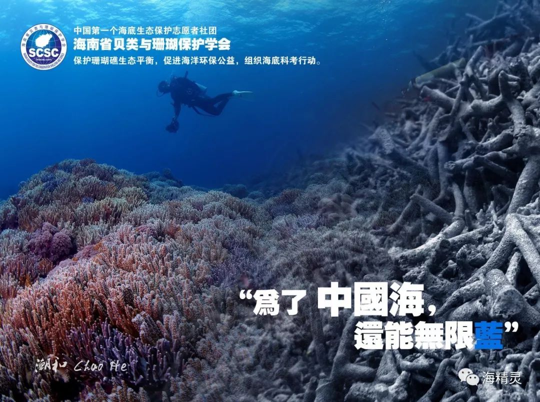 所以我国对全球珊瑚礁的研究和保护来说还是非常的重要的