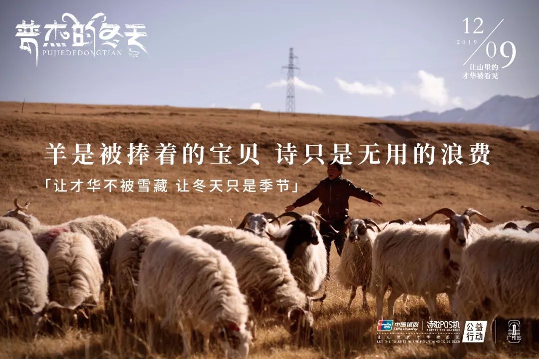 33只羊的诗歌梦,戳心了!