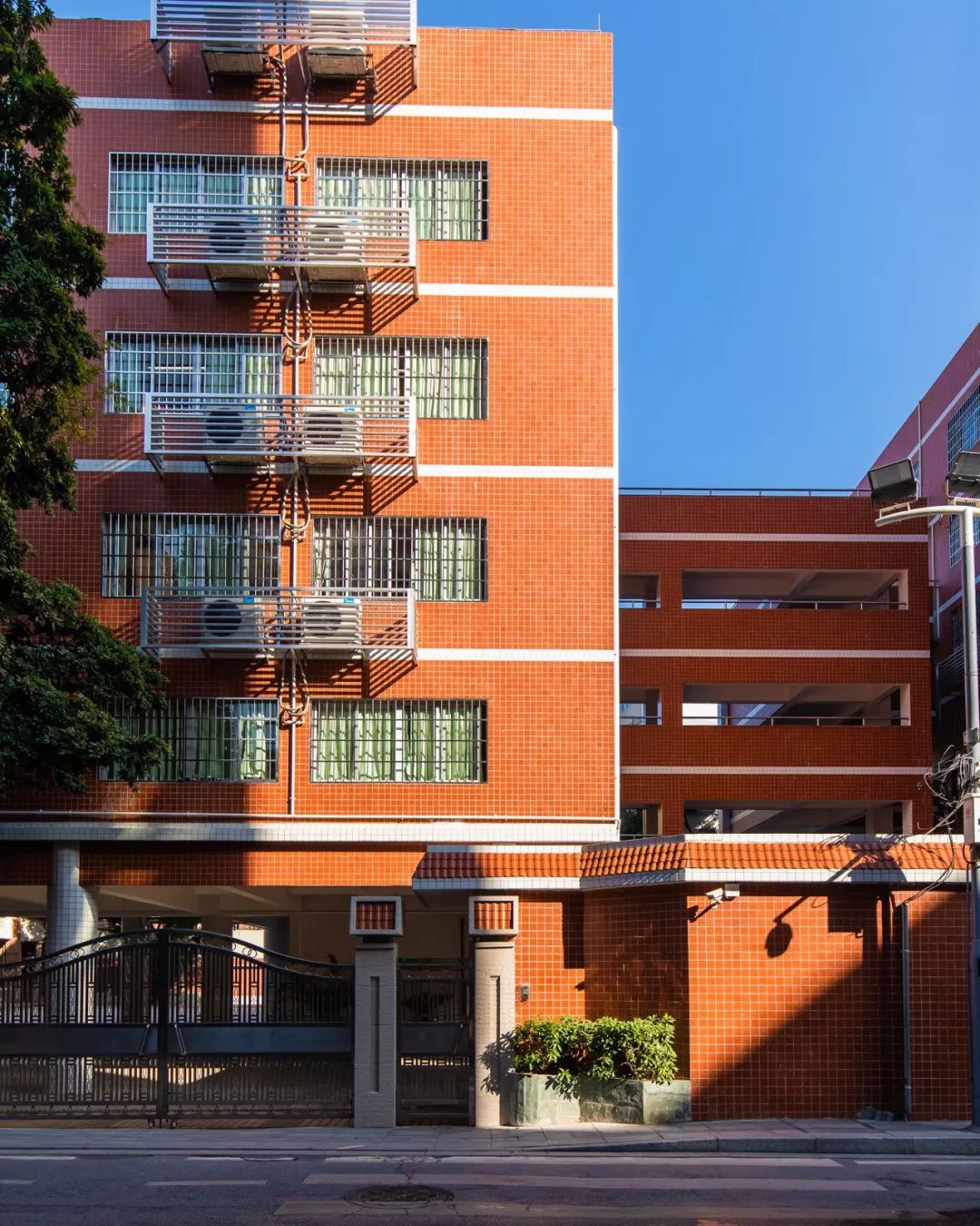 低调了50年的杨箕老街,是育才人的小骄傲!