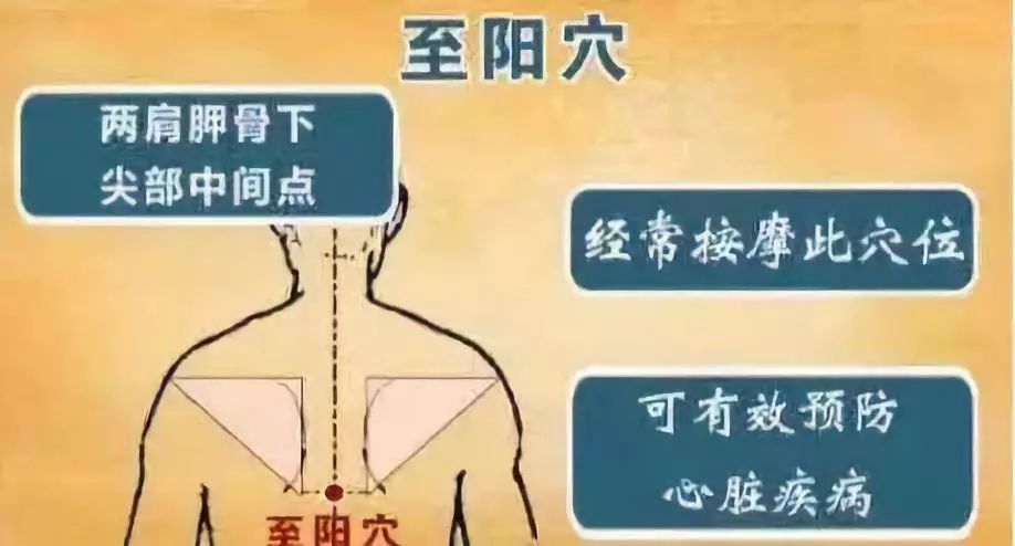 督脉自带6个穴位常灸生命力更旺盛