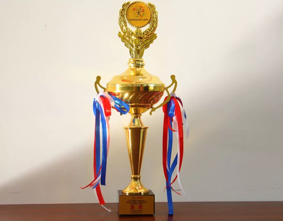 文以凭心,武以观德  ——记誉华学子参加东莞市武术公开赛