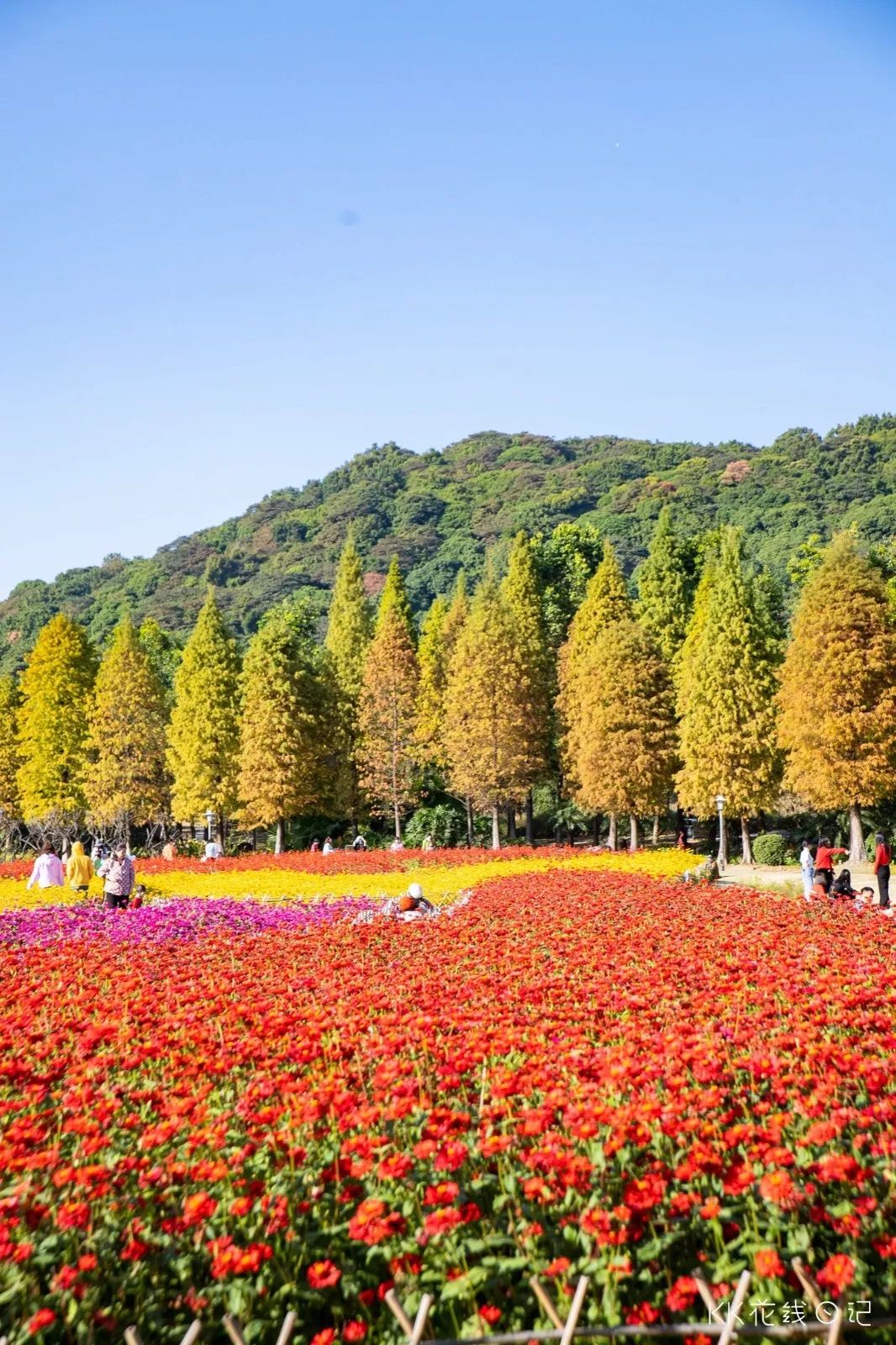 廣州0元彩虹花海歐洲莊園同款