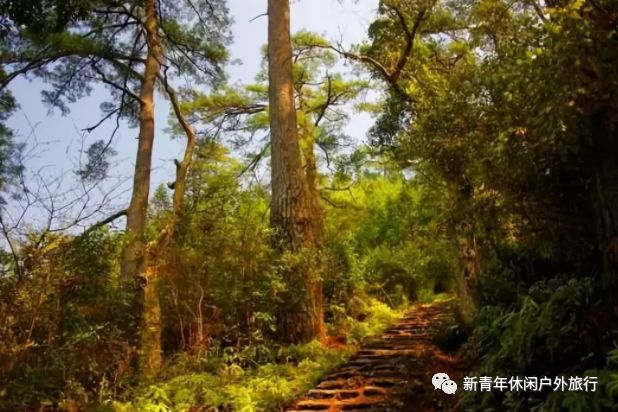 12月15日(周日)古道休闲游——松阳畲族土村国家登山游步道1日休闲游!