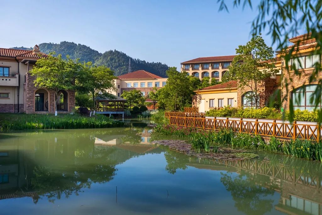 周末不加价06699起两大一小住安吉超高人气亲子酒店竹海中泡温泉