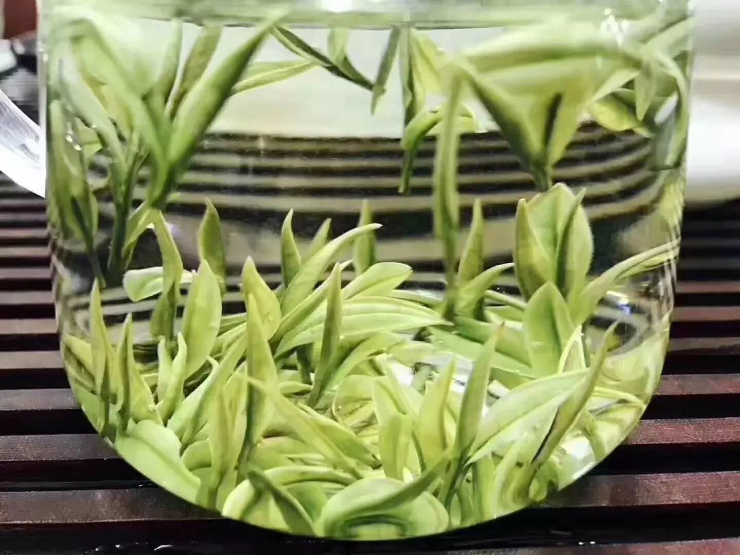 【有奖征集】唐崖茶商品名及广告词正在征集中,快来参与!