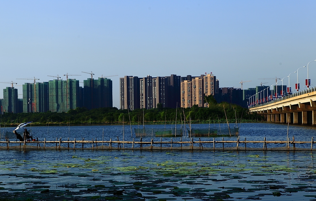 武汉面积最大的一个城中湖,占地面积15万亩,名气却不高