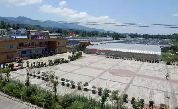 吃货们赶快去摘起来趁最近天气晴朗开江县长岭镇"雪峰现代农业园区"的