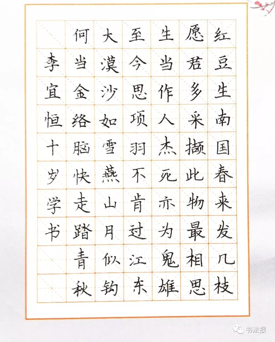 8岁女孩书法获特等奖钢笔字认真细致有味道